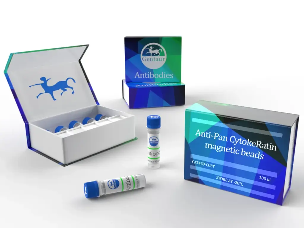Monoclonal anti pan cytoceratin, PCK Magnetic Bead conjugate