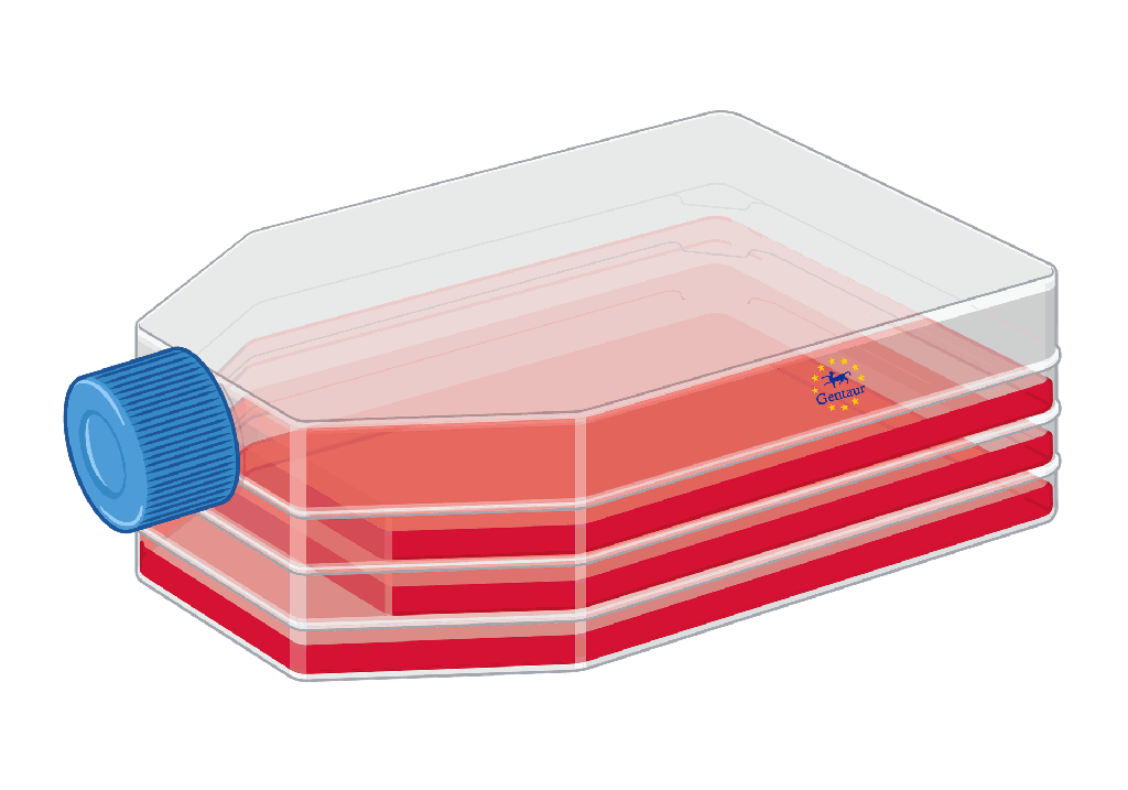 Cell Digestion Fluid 10× (RUO)