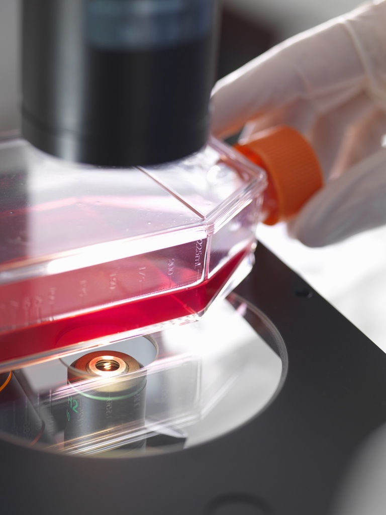 Cas9 Stable Cell Line (Vero)