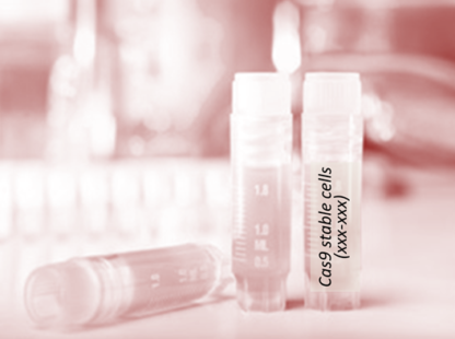 Cas9 Stable Cell Line (HuH-7)
