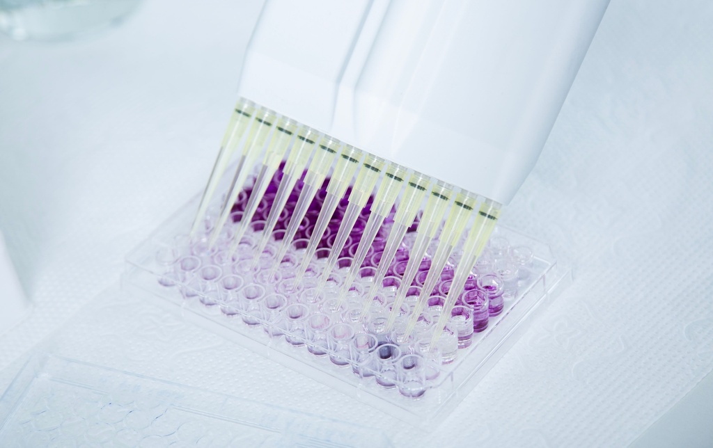300uL Low Retention Reload Pipette Tips - RNase and DNase Free