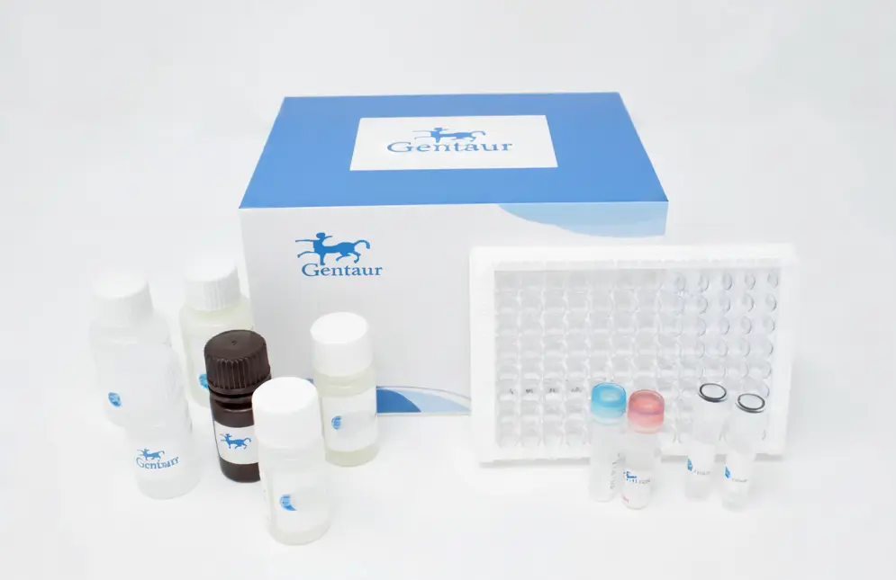 OxiSelect Oxidative DNA Damage ELISA Kit [8 OHdG], 96 wells plate