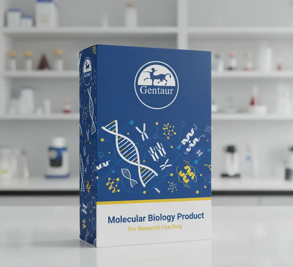 EpiQuik Hydroxymethylated DNA Immunoprecipitation [hMeDIP] Kit   48T