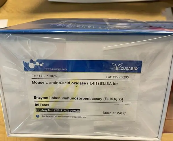 Recombinant Mouse L amino acid oxidase [Il4i1], 100 ug