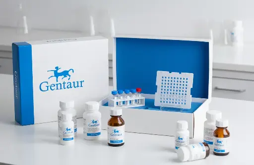 [0445-2016] Chondrex ELISA Grade Mouse Type II Collagen with 10X Buffer, 0.5 mg/ml x 1 ml