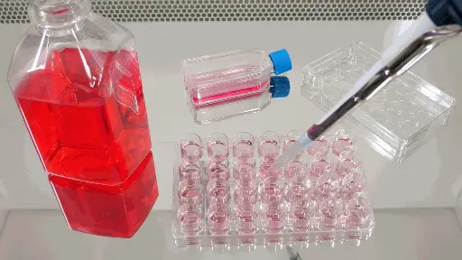 [0445-6018] Type II Collagen Detection Kit, Multi Species, 1 Kit